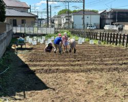 畑 (夏野菜を収穫し駅で売ります)