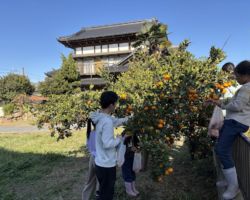 入母屋造り(いりもやづく)住宅 / 図工室